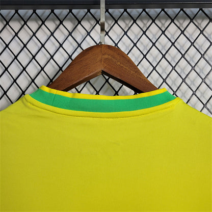 BRAZIL YELLOW PIGEON KIT